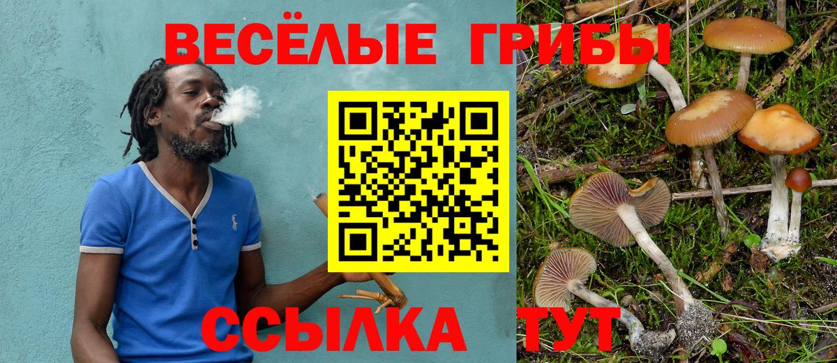 Псилоцибиновые грибы ЛСД  Вход с VPN  Городец 