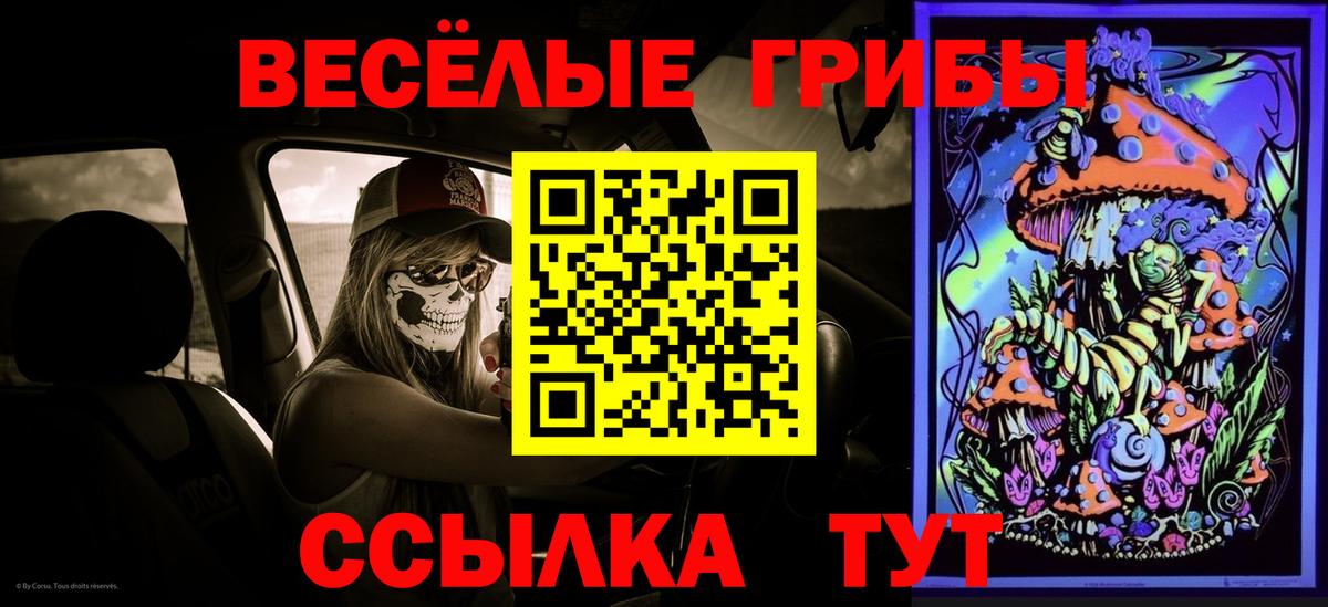 Галлюциногенные грибы Psilocybine cubensis Городец